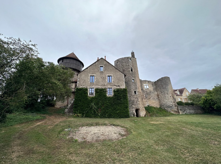 Château d'Ingrandes, Ingrandes, France, France